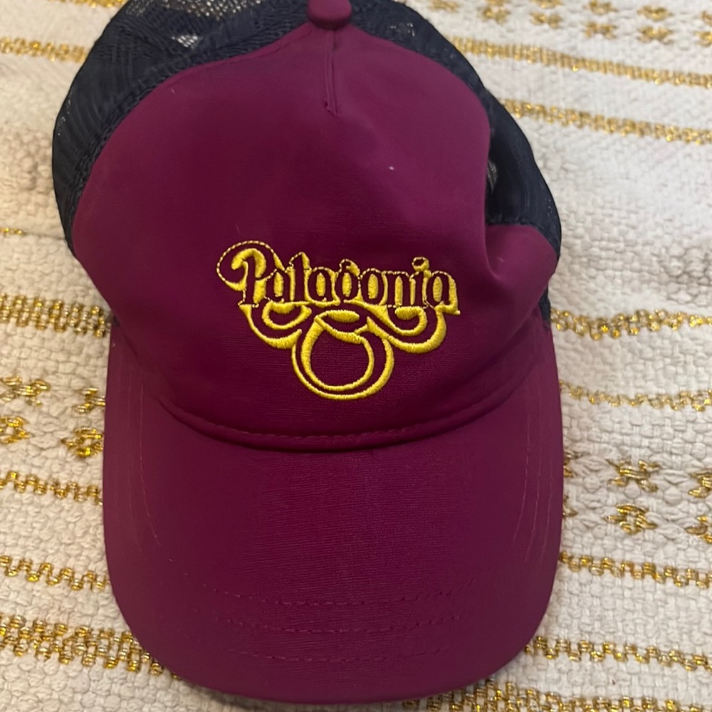 Patagonia Trucker hat